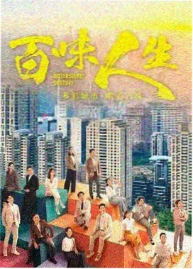 雾港迷局热播电视剧免费看